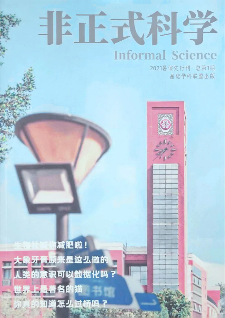 《非正式科学》2021 年刊封面